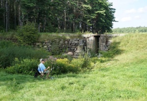 Cowee Pond Dam 2, ©Deborah Giordano