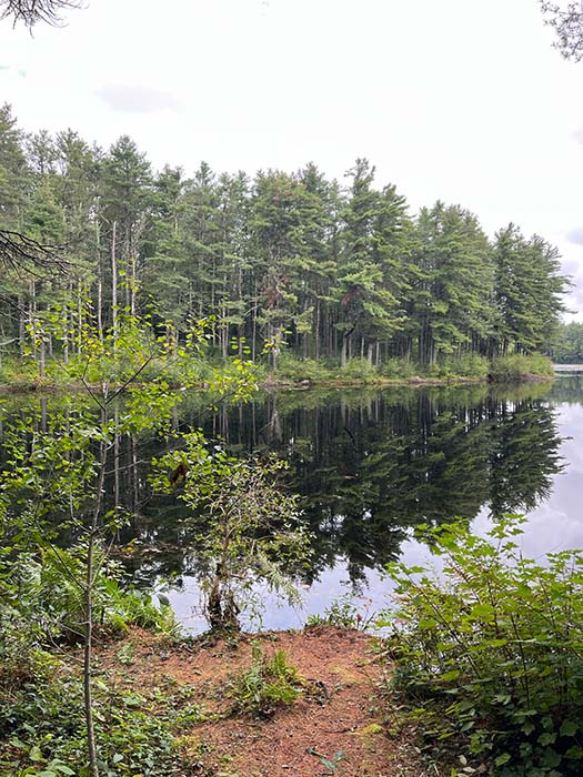 Cowee Pond 1, ©Anna Wilkins