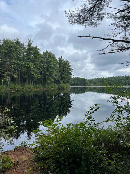 Cowee Pond 2, ©Anna Wilkins