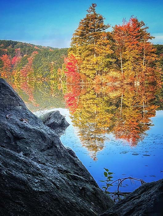 Dunn Pond State Park 1, ©Anna Wilkins