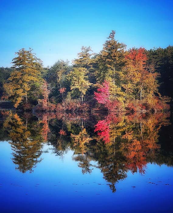 Dunn Pond State Park 10, ©Michele Spofford