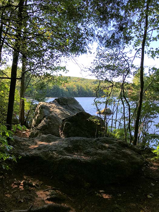 Dunn Pond State Park 12, ©Marion Draper