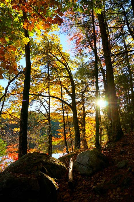 Dunn Pond State Park 13, ©Michele Spofford