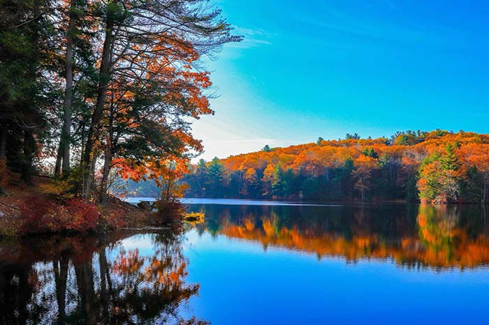 Dunn Pond State Park 16, ©Chris Guerra