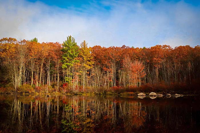 Dunn Pond State Park 17, ©Chris Guerra