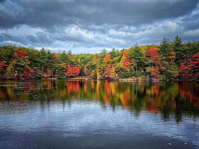 Dunn Pond State Park 2, ©Anna Wilkins