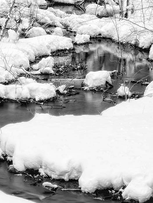 Dunn Pond State Park 4, ©Anna Wilkins