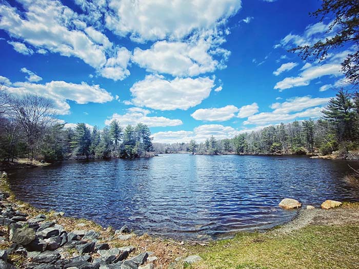 Dunn Pond State Park 5, ©Anna Wilkins