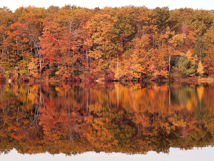 Autumn Reflections. Dunn Pond, Gardner, MA, ©Guy Biechelle