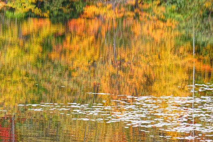 Autumn reflections. Dunn Pond, Gardner, MA, ©Guy Biechelle