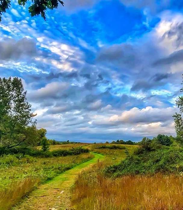Lake Wampanoag Wildlife Sanctuary 16, ©Anna Wilkins