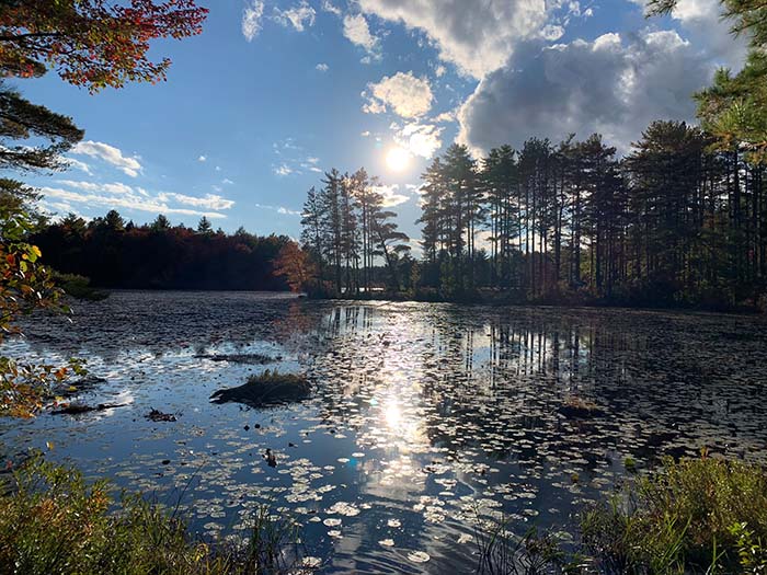 Lake Wampanoag Wildlife Sanctuary 19, ©Anna Wilkins