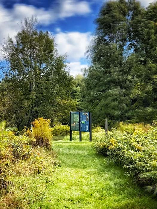 Lake Wampanoag Wildlife Sanctuary 6, ©Anna Wilkins
