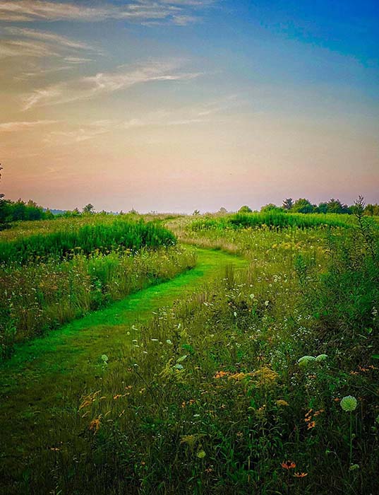 Lake Wampanoag Wildlife Sanctuary 9, ©Anna Wilkins