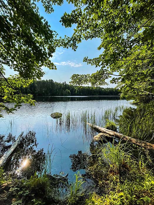 Perley Brook Reservoir 1, ©Lindsay Mastenbrook