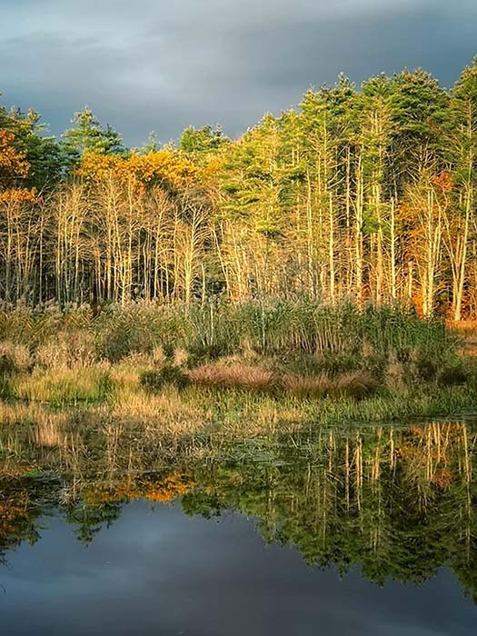 Perley Brook Reservoir 16, ©Michele Spofford
