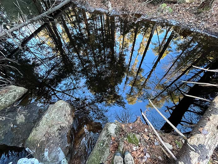 Wilder Brook Trail 2, ©Anna Wilkins